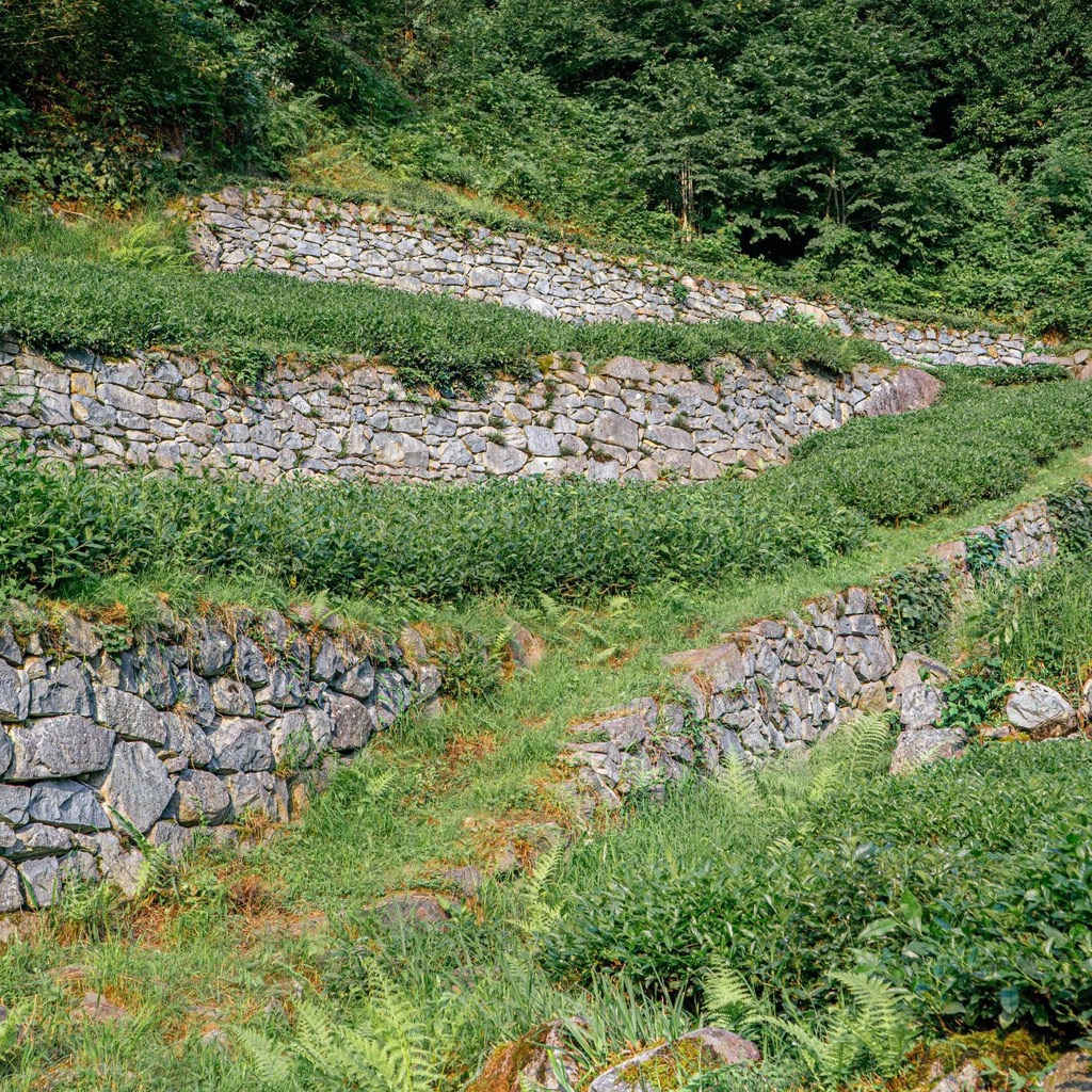 Retaining wall permit engineering Florida